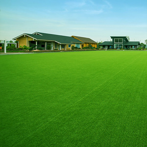 Phổ Biến Giá Rẻ Giá Vàng Màu Xanh Tím Đỏ Trắng Màu Xanh Lá Cây 20Mm 25Mm 30Mm Nhân Tạo Turf Cỏ Cuộn Tổng Hợp Cỏ Thảm Cỏ - Product Image 2