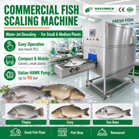 Descamadora de Pescado Comercial Automática Chorro de Agua 304 Acero Inoxidable para Tilapia Mojarra Carpa Fábrica Pequeña