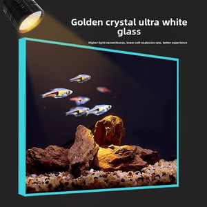 Aquarium Nano Rectangulaire Moderne Sud-Américain en Verre Ultra-Clair pour Bureau et Chambre, Écologique, pour Plantes Aquatiques et Aquascaping - Product Image 3