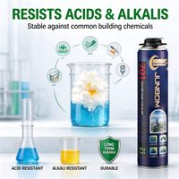 Mousse d'étanchéité en polyuréthane de haute qualité 701, mousse expansive pour le remplissage des joints, l'isolation et la fixation des portes et fenêtres, modèle 701