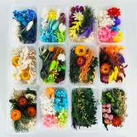 Boîte assortie de fleurs séchées et stabilisées pour l'art, le bricolage, la formation scolaire et la fabrication de couronnes de Noël