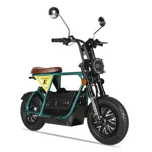 EEC/COC 18英寸250W 500W踏板辅助电动滑板车复古轻便摩托车风格电动自行车，带48v铅酸或锂电池