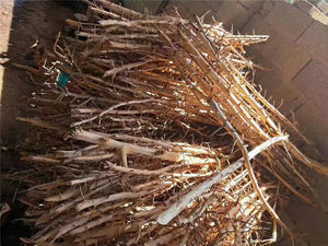 <span class=keywords><strong>Thailand</strong></span> Tak Xi Wortels Drift Hout <span class=keywords><strong>Aquarium</strong></span> Gewei Tak Hout Voor Decoratieve Voor Fish Tank - Product Image 5