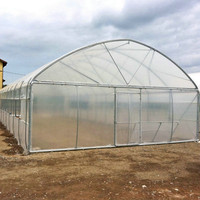 Serre de tunnel agricole système hydroponique de culture de fleurs à cadre en acier galvanisé
