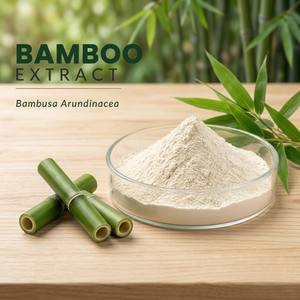 Poudre d'extrait de bambou, extrait de plante Bambusa Arundinacea, matière première pour l'industrie cosmétique et alimentaire - Product Image 3