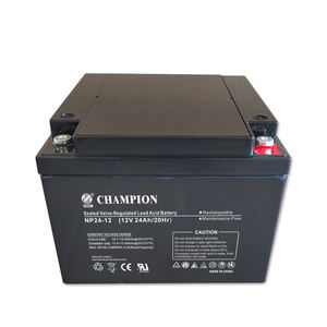 Batterie au plomb Champion 12v24ah Batterie <span class=keywords><strong>12</strong></span> volts avec chargeur Batteries VRLA pour systèmes d'alimentation électrique - Product Image 1