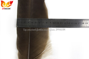 ZPDECOR Wholesale Natural <strong>Eagle</strong> Vulture Condor <strong>Feathers</strong> for Brazil Carnival Costume - Product Image 6