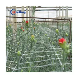Proveedor chino Nuevo producto Agrícola 100% Virgen HDPE Planta Fresa Escalada Plástico Tejido Red Blanca