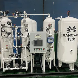Máquina productora de nitrógeno, equipo de purificación de nitrógeno, generador de gas de nitrógeno fabricado por BW, 2 unidades