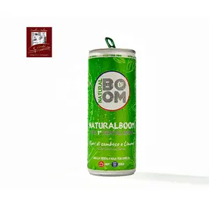 Bevanda mentale con Eldflower e Lime 250 ml can GVERDI Selection Made Italy Soft Tea bevanda a base calda e fredda