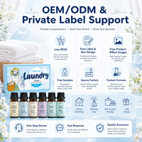 Ensemble d'huiles parfumées 100 % pures extraîtes de plantes pour lessive, diffuseur, humidificateur, huiles d'aromathérapie pour bougies, fabrication de parfums et bains.