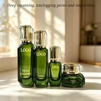 Ensemble de soins du visage hydratant et éclaircissant 4 en 1, sérum, crème, beurre de karité, vitamine E, flacons en verre vert luxueux, kit de soins de la peau OEM