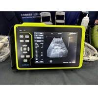 Échographe vétérinaire portable Dawei pour bovins, appareil d'échographie pour animaux de grande taille