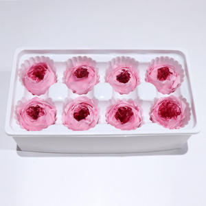 Yunnan-flores decorativas y guirnaldas para la cabeza, rosas rojas preservadas de Austin de alta calidad, de corte fresco, multicolor, 10 Uds., venta al por mayor - Product Image 4