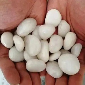 Cao đánh bóng màu đen sỏi đá phát sáng trong bóng tối Sỏi phát sáng sỏi lát - Product Image 3