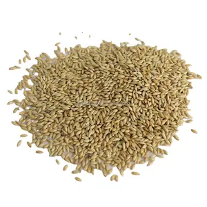 מזון ציפורים בתפזורת ללא GMO זרעים מיובשים זרעי קנריות לציפורים - Product Image 1