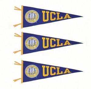 Banderoles triangulaires en feutre pour universités, impression numérique personnalisable professionnelle, portables, imperméables et écologiques - Product Image 1