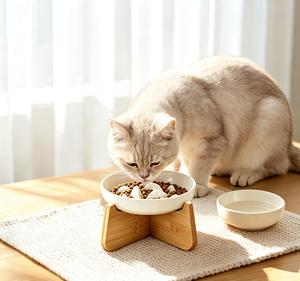 China Manufacturer Elevated Ceramic <b>Cat</b> Bowl Luxury Slow <b>Feeder</b> Pet Feeding Bowl with Stand - Product Image 1