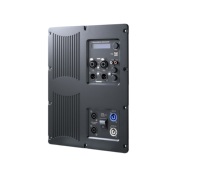 Amplificateur de puissance Module avec dsp dans 1000w * 2 pour Subwoofer Actif