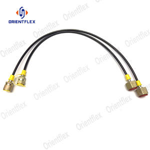 Tuyau de <span class=keywords><strong>test</strong></span> haute pression Dn3 utilisé dans les systèmes hydrauliques pour tester la pression et conduire le milieu fluide - Product Image 4