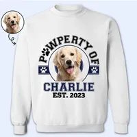 Sweat-shirt personnalisé avec photo d'animal de compagnie, pull à col rond pour amoureux des chiens et des chats, décontracté, unisexe, cadeau