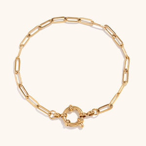 Tarnish-Free 18K Gold Plated Stainless Steel <b>Snake</b> Paperclip <b>Chain</b> Spring Clasp Trendy Geometric Natural Stone Charm Bracelet - Product Image 6