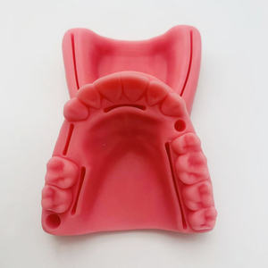 बोका और मसूड़ों के चिकित्सा विज्ञान उत्पाद सिलाई ब्लॉक मॉडल के साथ मौखिक सूइटिंग - Product Image 6