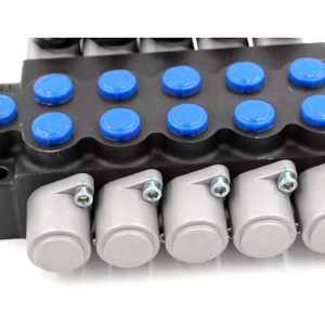 Válvula de Control Direccional Hidráulica Manual de 5 Vías P40-U78 |   Suministro Directo de Fábrica, Válvula Hidráulica Multivía Personalizable - Product Image 5