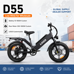 Bicicleta Eléctrica de Carga D55, 750W, 48V55Ah, Neumático Grueso de 20 Pulgadas, E-MTB, 240 km de Autonomía, Venta al Por Mayor de Fábrica OEM - Product Image 1