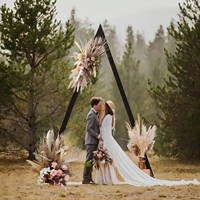 Kit d'arche de pampa séchée pour fête de remise des diplômes, décorations de mariage, fleurs suspendues, arche d'entrée pour fêtes d'anniversaire et mariages