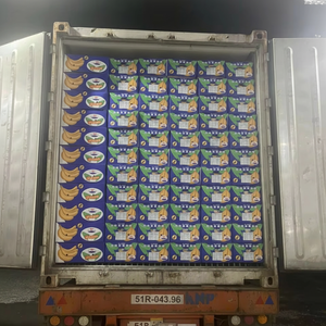 Vietnam Fresh Cavendish Banana Tropical Sweet Fruit Exportador de granja directo Venta al por mayor a granel - Product Image 1