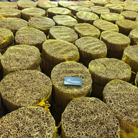 Cannelle de Cassia séchée du Vietnam, transformée par procédé AD, bâtonnets de 8 cm, haute qualité, pour cigarettes. WhatsApp +84 35931 3086
