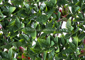 รั้วตกแต่งกันแสงแบบขยายได้ รุ่น 007H ป้องกันรังสียูวี กันน้ำ เป็นมิตรกับสิ่งแวดล้อม ขนาด 1x2 เมตร - Product Image 2