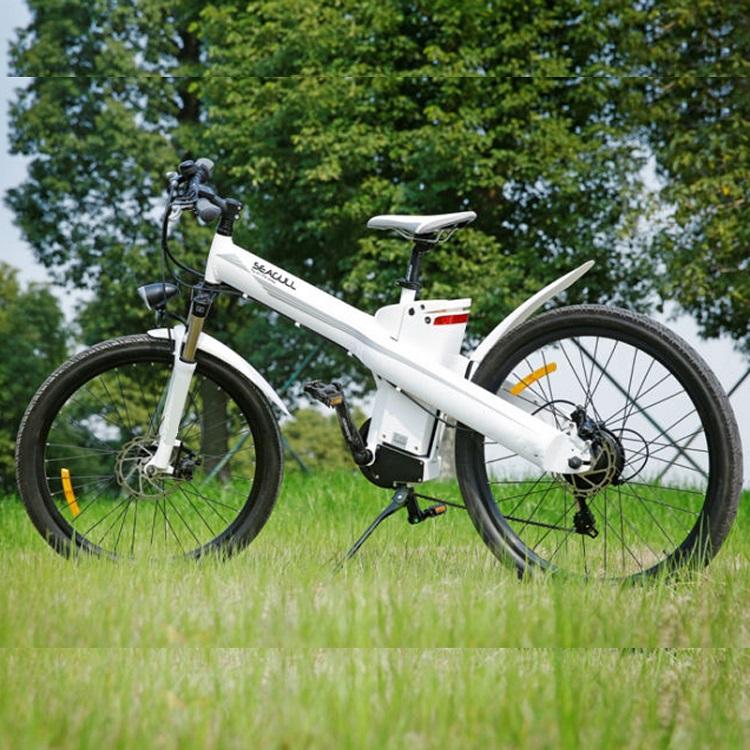 Ecotric Seagull Electric Bike Ecotric Seagull Electric Mountain