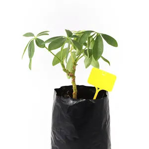 T Type Smile ป้ายต้นไม้ในกระถาง,แท็กมาร์กเกอร์แผ่นพลาสติกบันทึกกันน้ำได้สำหรับต้นกล้าผักดอกไม้