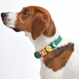 Colliers pour animaux de compagnie (chats et chiens) en PVC réglables, étanches, personnalisables avec logo, de luxe, de créateur, tendance, vente en gros - Product Image 6