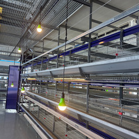 Système de cages à poulets en couches de type H professionnel pour élevage avicole, cage à batterie automatique pour 1000 à 5000 oiseaux
