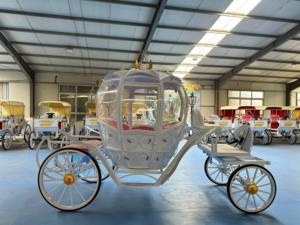 Chariot de citrouille pour balades panoramiques, calèche à chevaux avec chariot de citrouille décoré - Product Image 5