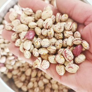 Cina origine Fagioli rossi maculati leggeri forma rotonda 160 170 Fagioli <span class=keywords><strong>Borlotti</strong></span> Biologici - Product Image 1