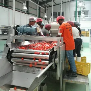 Machine de triage de fruits automatique, pour lever les pommes et tomates