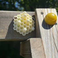 Répulsif anti-guêpes en plastique durable rouge (Répulsif réaliste à suspendre contre les guêpes, lutte efficace contre les parasites du jardin en extérieur, sans piles)