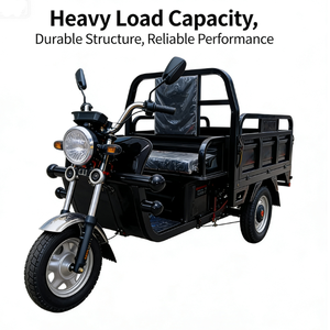 Op maat gemaakte open zwarte vetbanden onderdelen 1000W <span class=keywords><strong>3</strong></span>-wiel motorfietsen elektrische motorfiets vrachtwagen vrachtbezorging driewieler voor volwassenen - Product Image 1