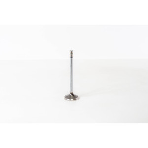 Valvola di Scarico AIFO - Valvole Motore FPT 4899632 - Product Image 1