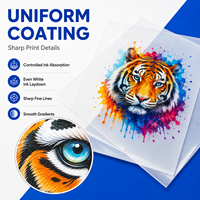 Film PET DTF A3 A4 résistant au lavage et antistatique pour transfert thermique sur tissu coton et polyester pour T-shirts – Vente en gros