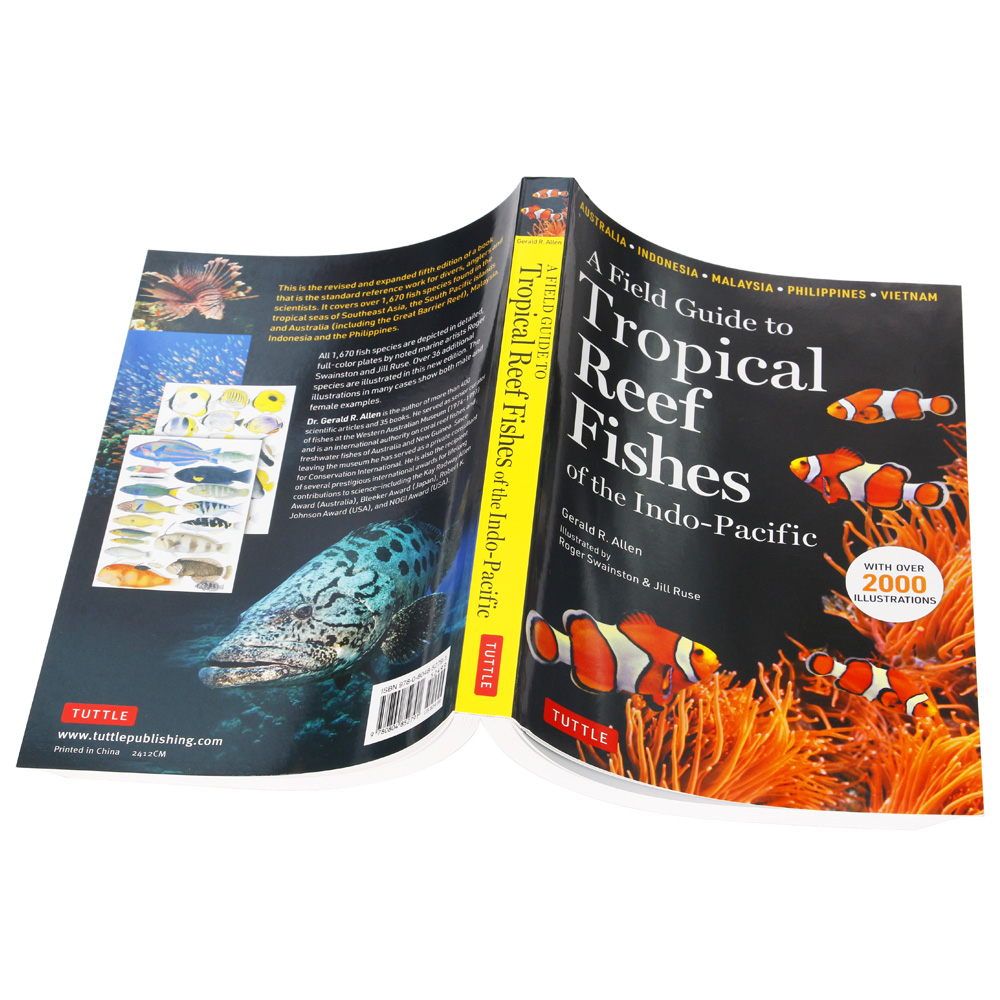 Eco Friendly Recycled Art Paper Printing For Magazine Booklet Softcover Paperback Catalog Book Printing Service