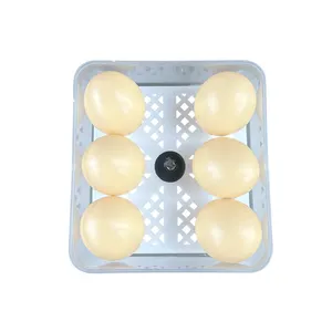 Inkubator telur otomatis penuh, 220V 110V HT-6 Mini untuk ayam bebek angsa telur puyuh