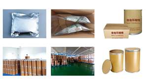 최고의 가격 알파 Cyclodextrin CAS10016-20-3 순수 99% 분말 식품 첨가제 캡슐화 맛 콜레스테롤 - Product Image 5