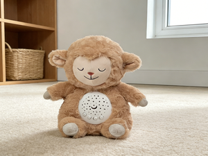 Giocattoli Intelligenti AI Personalizzati per Bambini, Giocattolo Educativo Interattivo con Batteria al Litio, Giocattolo di Apprendimento in Plastica con Controllo Vocale - Product Image 5