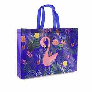 Bolsas de Compras de Polietileno LDPE Resistentes y Ecológicas con Impresión de Logotipo Personalizado, Gran Venta - Product Image 1