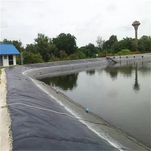 최고의 판매 0.5mm Geomembrane 라이너 HDPE 가격 양식 필리핀